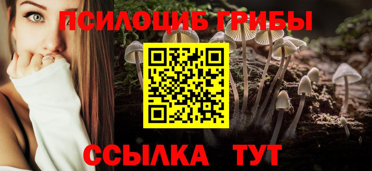 Галлюциногенные грибы MAGIC MUSHROOMS  Вход с VPN  Крымск  Галлюциногенные грибы Magic Shrooms 